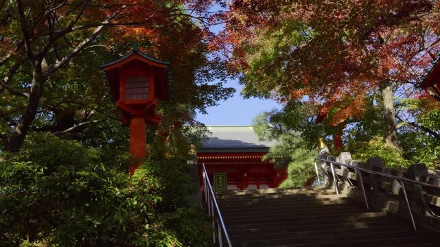 Beautiful slider shot over shrine approach with fall foliage in Japan
