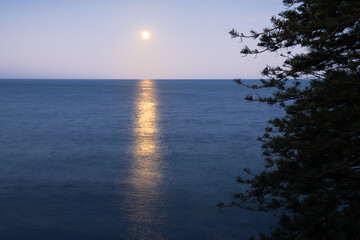 moonlight on the ocean