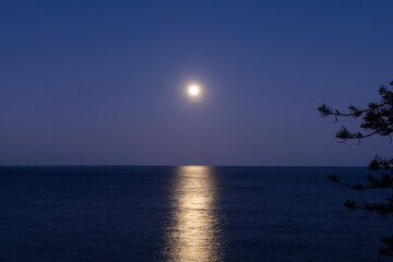 moonlight on the ocean