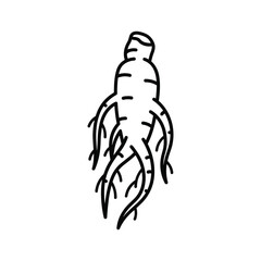 Ginseng Root Line Art Icon