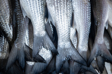 Fresh fish tails arranged in icy display for seafood market.