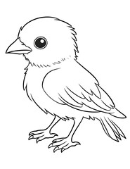Fototapeta premium A simple line drawing of a small bird with detailed feathers and feet isolated on transparent background