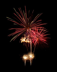 Colorful firework sparkling on black background for celebration and anniversary