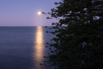moonlight on the ocean