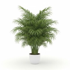 Potted houseplant featuring lush green palm leaves, perfect for home decoration and tropical botany