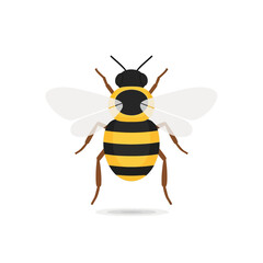 Flat Vector Illustration of a Honey Bee Isolated on White