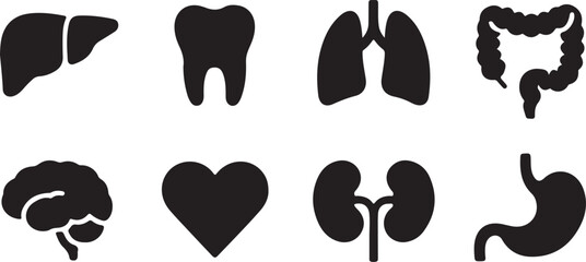 Healthcare Glyph Icon. Internal Organ Anatomy Black Pictogram. Human Brain, Intestine, Urinary System, Tooth, Stomach, Lung, Liver, Heart Silhouette Icon Set. Isolated Vector Illustration