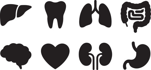 Healthcare Glyph Icon. Internal Organ Anatomy Black Pictogram. Human Brain, Intestine, Urinary System, Tooth, Stomach, Lung, Liver, Heart Silhouette Icon Set. Isolated Vector Illustration