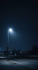 Lonely Streetlight Illuminating a Quiet Urban Road at Night With Copy Space