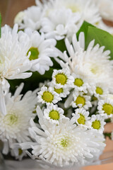 Bouquet of Mixed White Chrysanthemums 