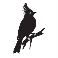 the beautiful bird on the branch