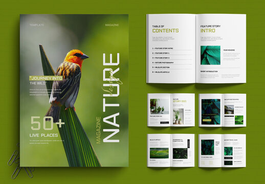 Natural Theme Magazine Layout Design