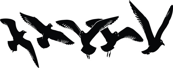 Five black silhouette seagulls in various flight poses against a white background