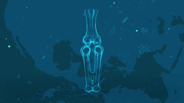 Digital Representation of Anatomical Bone Structure on Tech-Themed Background