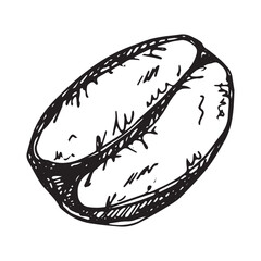 Hand drawn fresh roasted coffee bean Arabica robusta seed doodle Single element for print, web, design, decor