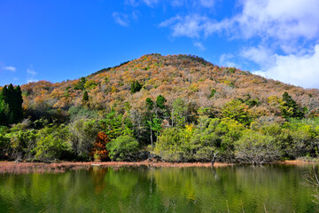 飯盛山の紅葉