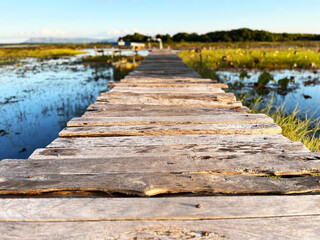 A rustic wooden walkway stretches across a peaceful wetland, surrounded by calm reflective water and lush greenery, creating a serene natural landscape under warm afternoon sunlight