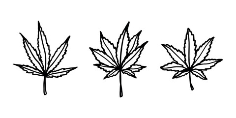 Set of hand drawn cannabis leaf Medicine marijuana Hemp leaves clipart in doodle style Single element for print, web, design, decor