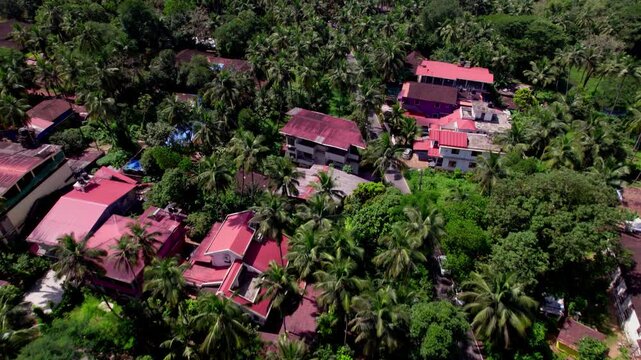tropical residential neighborhood surrounded by dense greenery and coconut trees at colva, goa. day time, push in shot, drone shot, 4k.