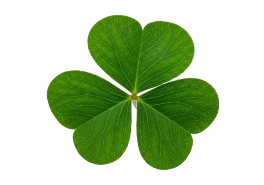 Close up of a vibrant green threeleaf clover isolated on transparent background, symbolizing luck and st patricks day celebration - Powered by Adobe