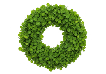 Green clover wreath forming the shape of the letter o or zero, isolated on transparent background for st patricks day decoration or nature concept