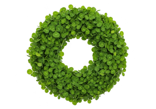 Green clover wreath forming the shape of the letter o or zero, isolated on transparent background for st patricks day decoration or nature concept - Powered by Adobe