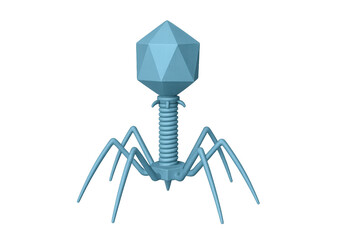 Bacteriophage virus 3d model illustrating microbiology, science, and research concepts on transparent background