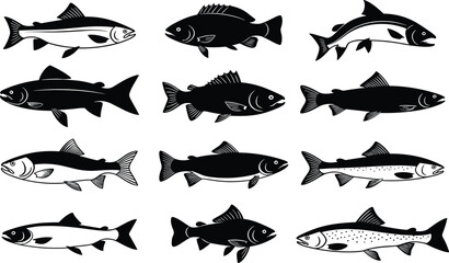 Collection of black and white fish silhouettes with detailed fins and scales aquatic