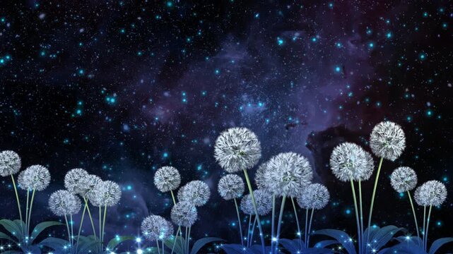 4K Fresh Starlight Dandelion Background