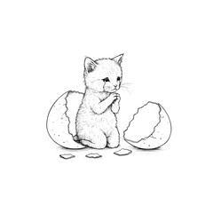 Adorable Kitten Hatched from an Egg Crying and Praying.