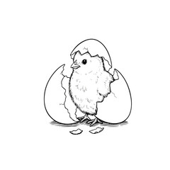 Newly hatched chick emerging from eggshell black and white line art.