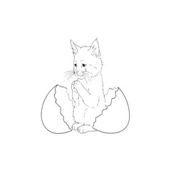 Sad Fox Kit Emerging From Cracked Eggshell.