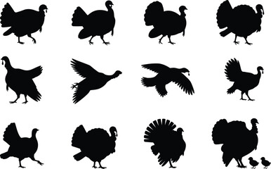 Turkey silhouettes collection with flying and walking poses, black vector bird set for Thanksgiving design, farm branding, wildlife illustration artwork