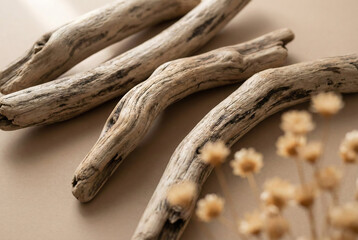 Natural driftwood sticks arranged on a neutral beige surface, showcasing organic textures, earthy tones, and a minimal aesthetic