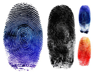 Artistic presentation showcasing detailed finger impressions in various colors, each with unique patterns