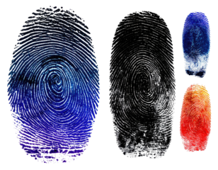 Artistic presentation showcasing detailed finger impressions in various colors, each with unique patterns