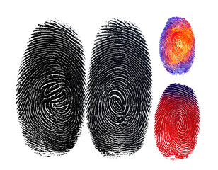 Close-up of fingerprint variations, showing ridges and whorls in grayscale and vibrant color