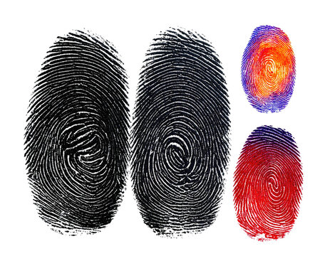 Close-up of fingerprint variations, showing ridges and whorls in grayscale and vibrant color - Powered by Adobe