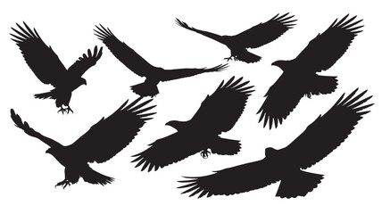 Obraz premium Set of eagle silhouettes in flight vector illustration of birds of prey wildlife concept for logo design and nature projects