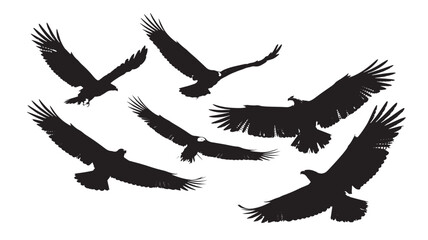 Fototapeta premium Set of eagle silhouettes in flight vector illustration of birds of prey isolated on white background