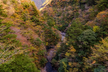 秋本番の寸又峡