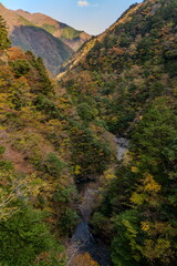 秋本番の寸又峡