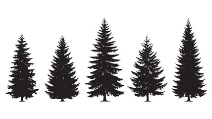 Obraz premium Set of silhouette pine trees evergreen forest vector illustration isolated on white background for nature and outdoor designs