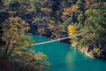 秋の寸又峡と夢の吊り橋