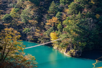 秋の寸又峡と夢の吊り橋