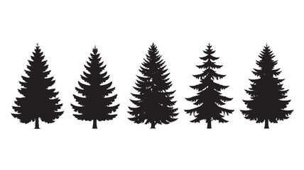 Obraz premium Set of evergreen tree silhouettes simple vector illustration of coniferous trees isolated on white background