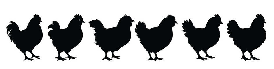  baby chicken silhouette clipart set