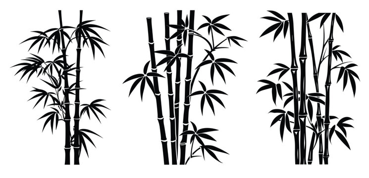 bamboo silhouette bundle