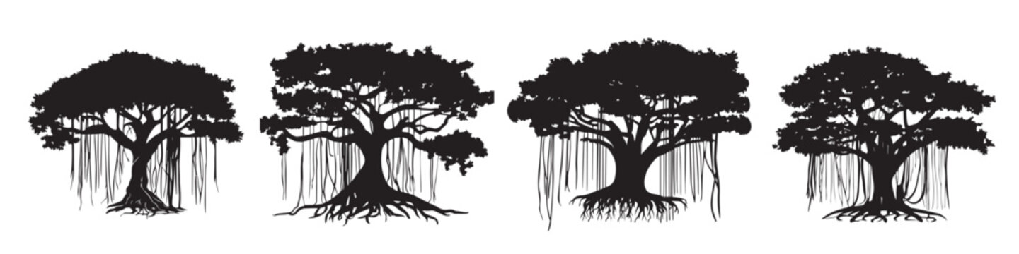 banyan tree vector silhouette illustration