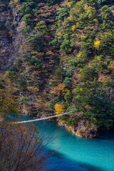 秋の寸又峡と夢の吊り橋